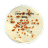 Caramel Pot de glace