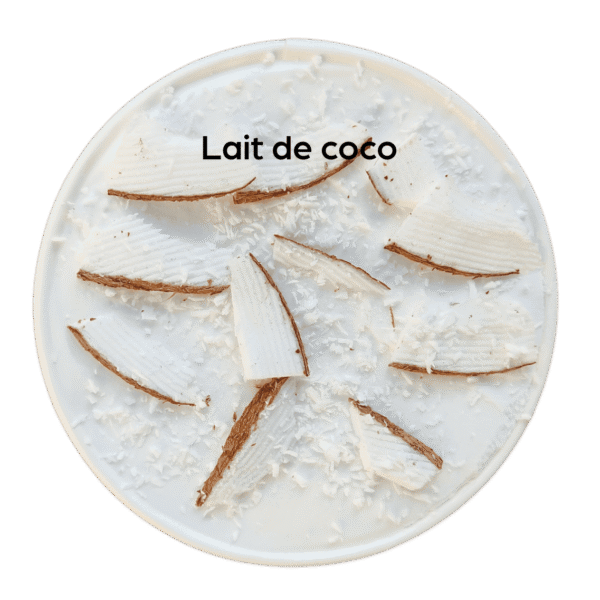 Coco Pot de glace