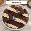 Tiramisu Entremets à partager