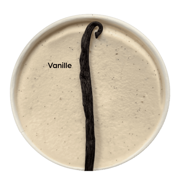 vanille Pot de glace